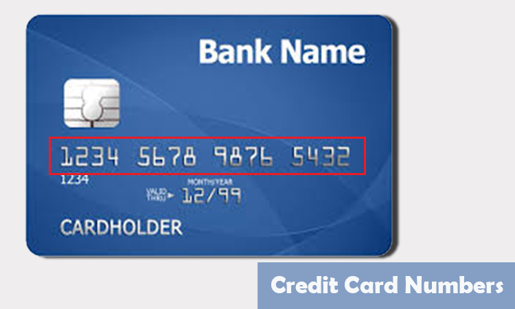 credit card with money free generator